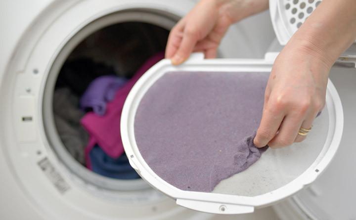 Dryer Lint